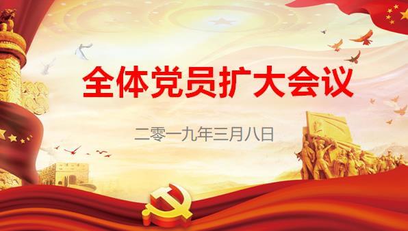 记北京王府中西医结合医院党支部党员大会扩大会议