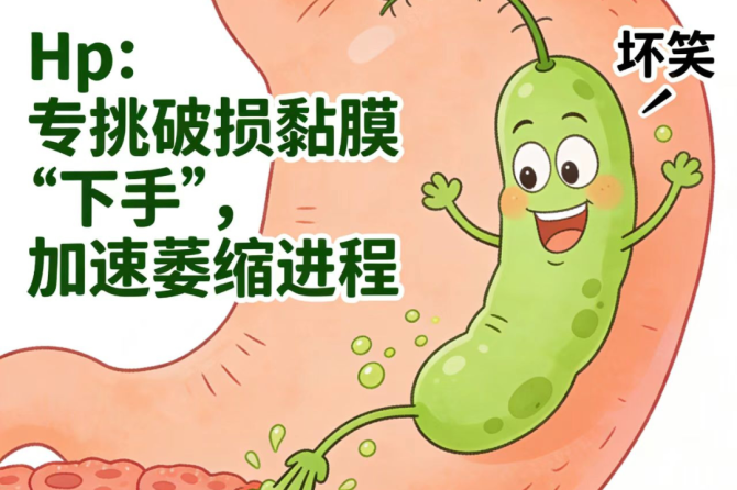 萎缩性胃炎+幽门螺杆菌：这对“损胃CP”必须拆！