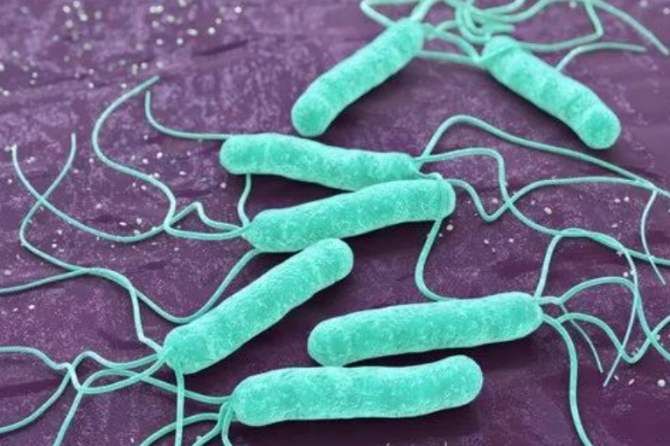 为何有那么多人会感染“幽门螺杆菌”？